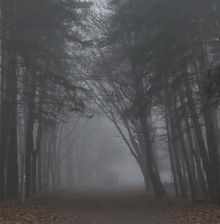 Мъгла и опасен въздух в София и днес