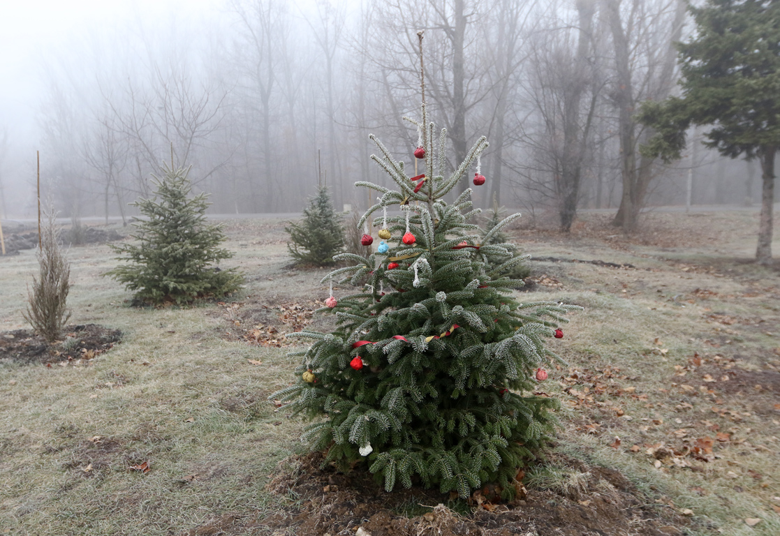 Мъгла и опасен въздух в София и днес