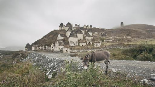  <p>Вижте руския&nbsp;<strong>&bdquo;Град на мъртвите&rdquo;</strong></p> 