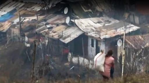  Шокиращи фрагменти, мъж бие кон с железна тръба, реакции 