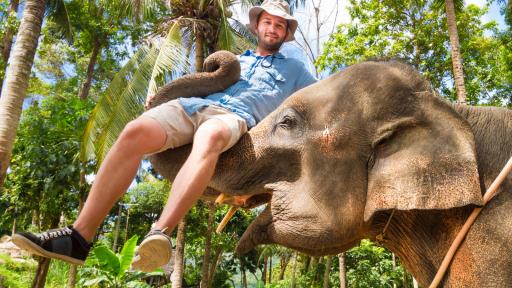  <p>Хотел предлага бонус атракция &ndash; <strong>слон по стаите</strong></p> 