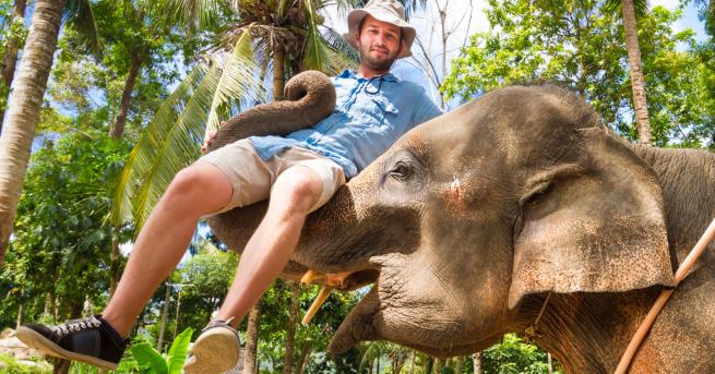 Любопитно Хотел предлага бонус атракция – слон по стаите Хотел