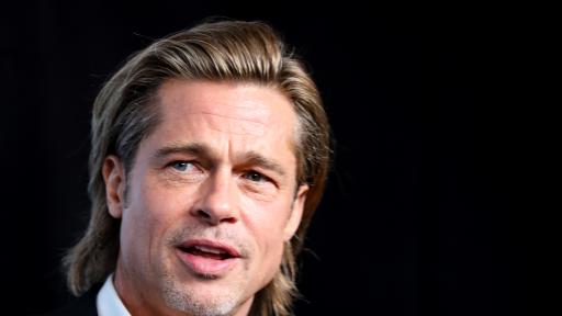  Брад Пит мисли за отвод от актьорството, ще стане ли пчелар 