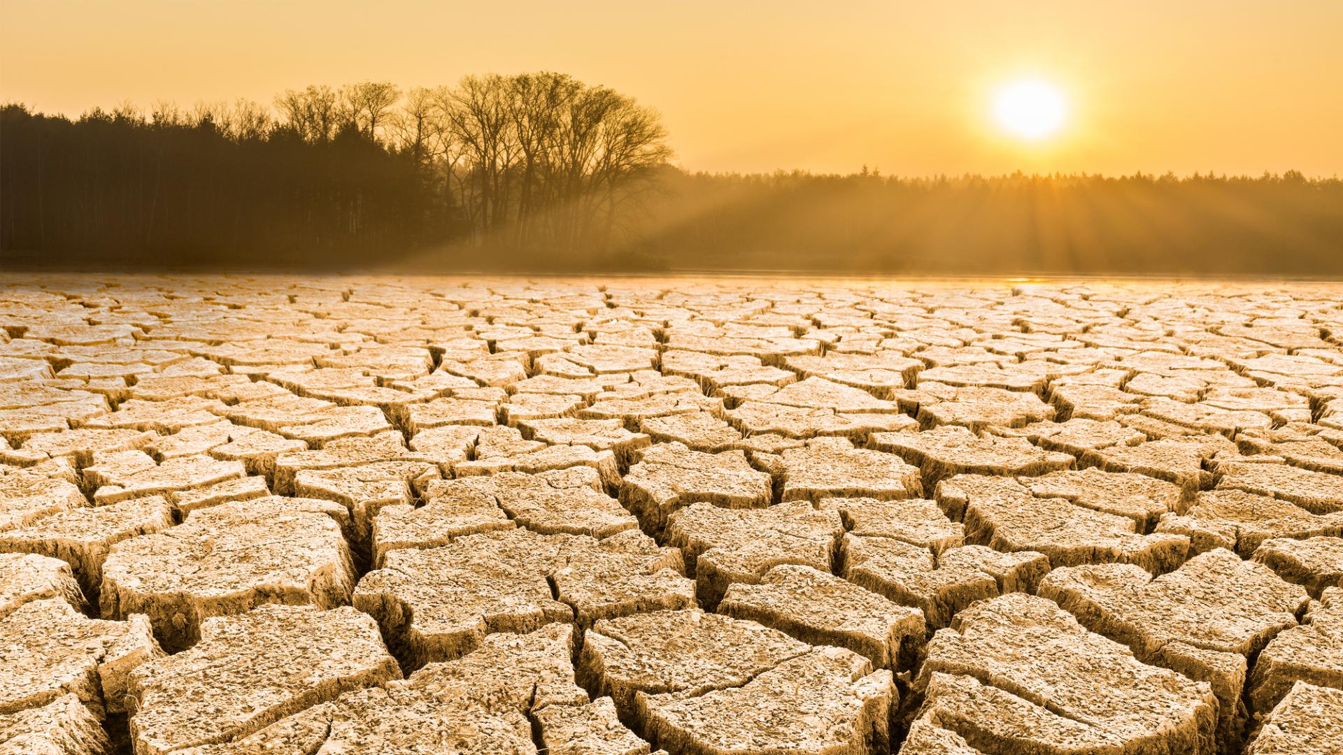 Язовирите ще издържат на засушаването ако водата се използва пестеливо