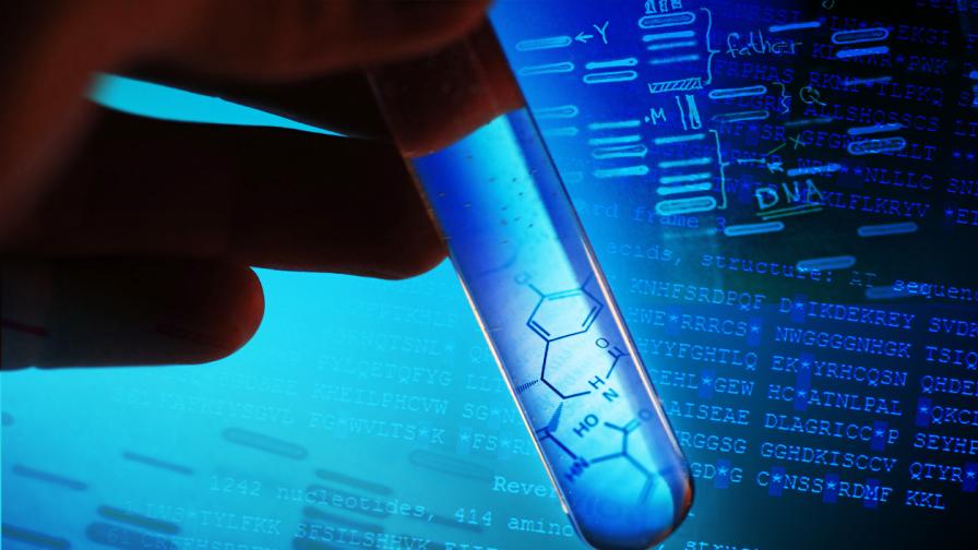 Учени откриха „трето състояние“ на живот след смъртта