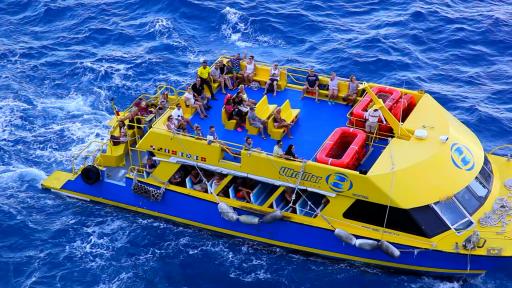  „ Без багаж “ ни водят до Коста Мая, Мексико 