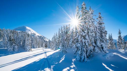  Какво ще е времето през уикенда 