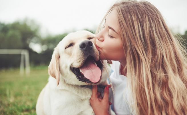7 знака, че кучето ви обича безусловно