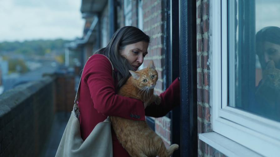 „Котка в стената“ новият политически некоректен български филм
