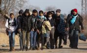  Група мигранти вървят към турско-гръцката граница 