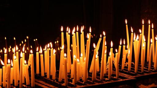  Снимка: pixabay 