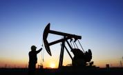  Цената на нефта от марка WTI падна под $20 