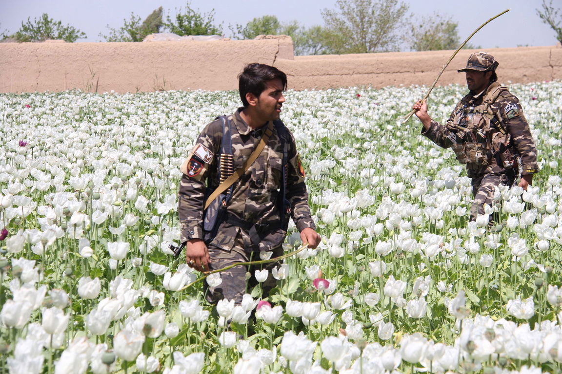 сша и наркотики в афганистане