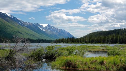 Колко подпочвени води има по света 