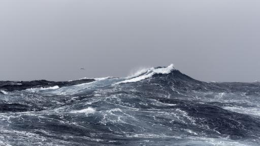  Млад мъж се удави край плаж 