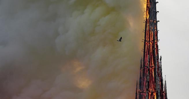 Свят Година след пожара: Нотр Дам чака своето спасение Наложените