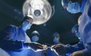 <p>България намесена в японско разследване за незаконни трансплантации</p>
