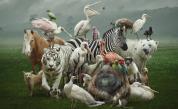  <p>Руска художничка прави най-сладките животни от &hellip; (снимки)</p> 