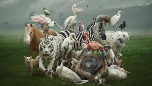  <p>Руска художничка прави най-сладките животни от &hellip; (снимки)</p> 