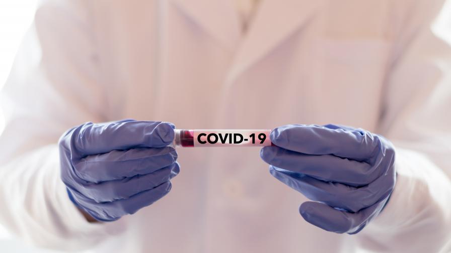 DW: Какво разкриват аутопсиите на починали с COVID-19