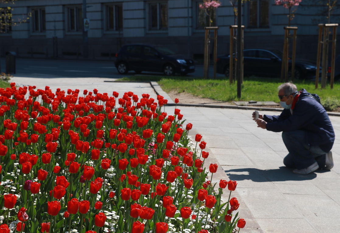 <p>Пролетни багри в София</p>