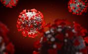  Три вероятни сюжета: Как ще се развие коронавирусната пандемия 