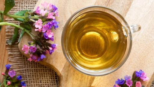  Медуница: Билката за белия дроб и дихателните пътища 