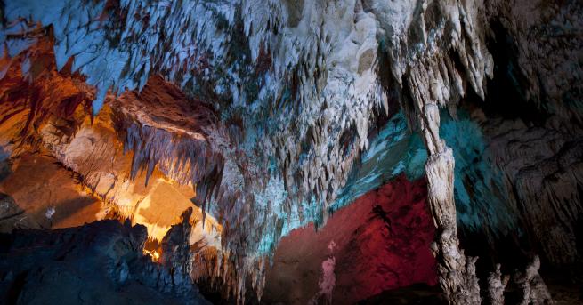 Любопитно Пещера на 5 млн години е обитавана от невиждани