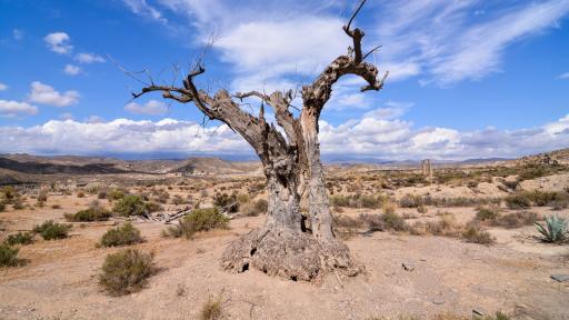  Къде е тази пустиня в Европа 