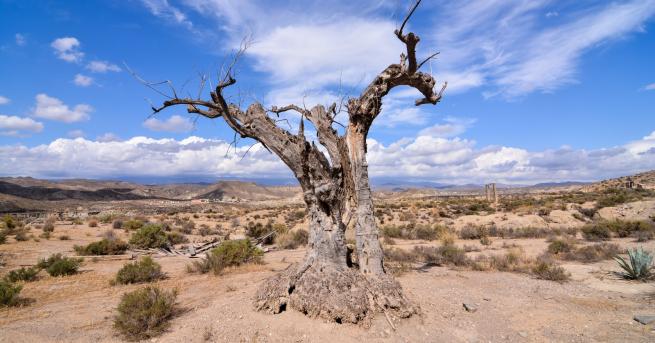 Любопитно Къде е тази пустиня в Европа Районът е най сухият