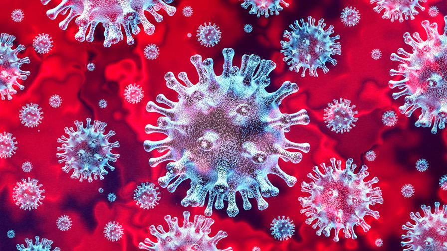 Отново ръст на случаите на коронавирус у нас, 83 заразени