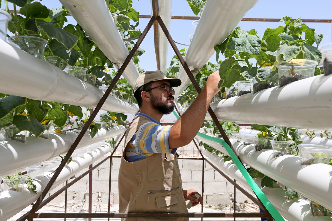 <p>Растения и зеленчуци, засадени от Абдул-Рахман ал Масри, 23-годишен сириец, използвайки хидропонна система на покрива на сграда в покрайнините на Дамаск, Сирия.</p>