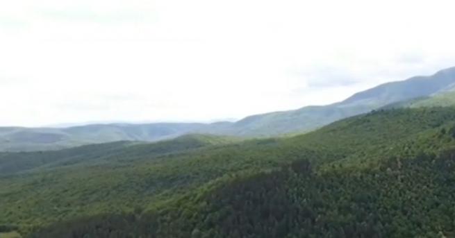 България Пазарджик получи дарението което спаси гората на Црънча Сумата
