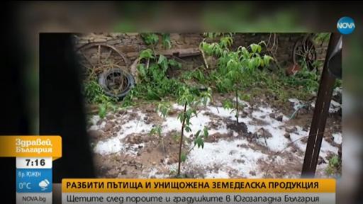  След пороите: Разбити пътища и унищожена земеделска продукция 