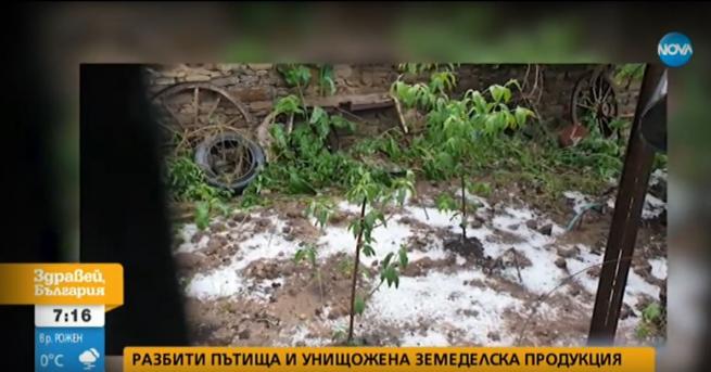 България След пороите: Разбити пътища и унищожена земеделска продукция Най-засегнати