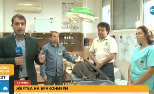 19 дни са се борили за живота на черния лешояд