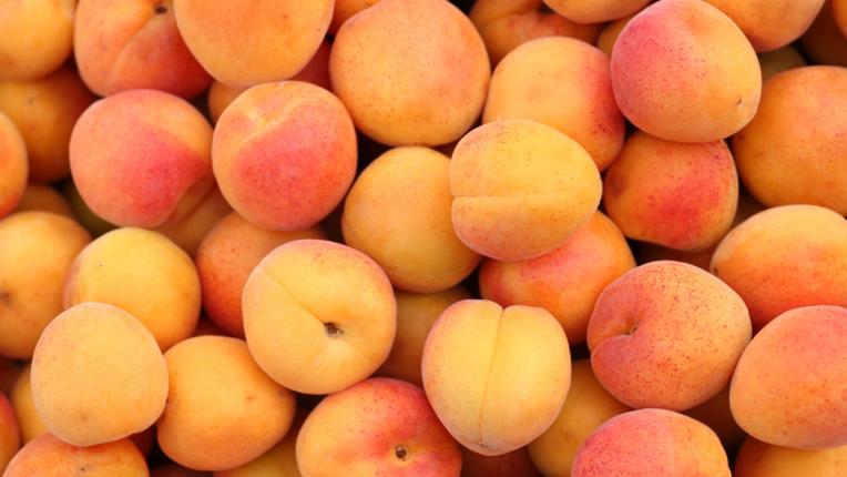  Кайсиите - най-очакваните плодове през лятото 