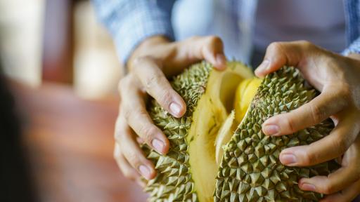  Миризливият плод, неразрешен за ядене на публични места 