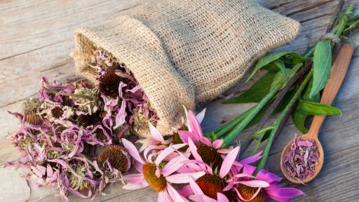  Билката, която e най-хубав другар на организма ви 