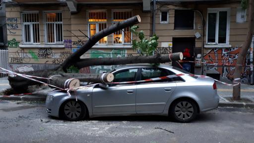  Дърво премаза кола в центъра на София 