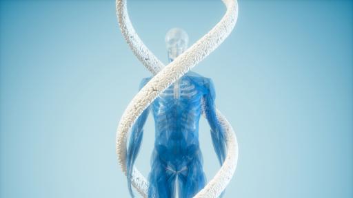  Телата на предците на хората били доста по-различни 