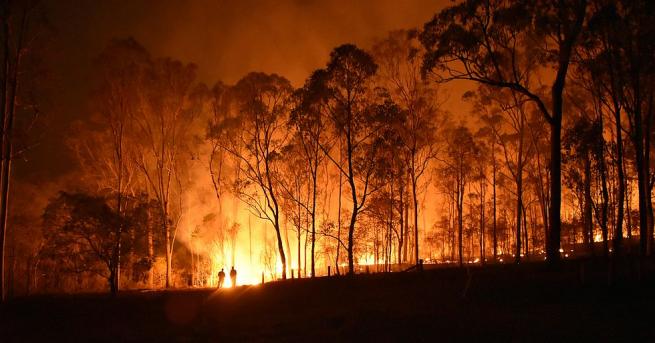 България Пожар избухна в Хасковско Заради високите температури и вятъра