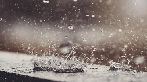  <p>Паднало дърво промени маршрута на трамвайна линия 6&nbsp;</p> 