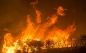 Големи пожари в Хасковско, пожар пламтя и край Асеновград 