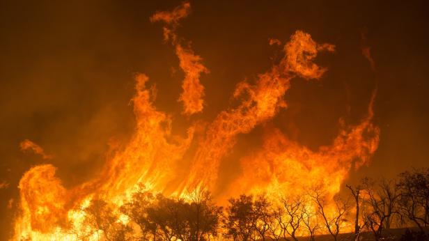 Хиляди евакуирани заради горски пожари в Южна Австралия