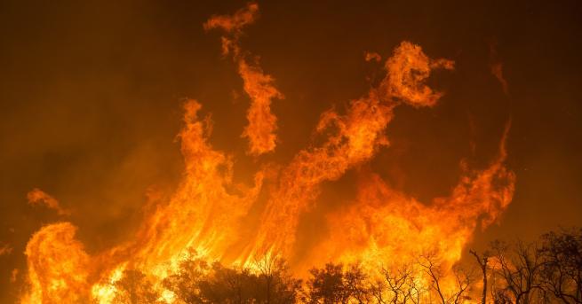 България Голям пожар край Симеоновград хиляда декара гора изгоряха Според
