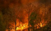  Пожарът в Хасковско към този момент е овладян 