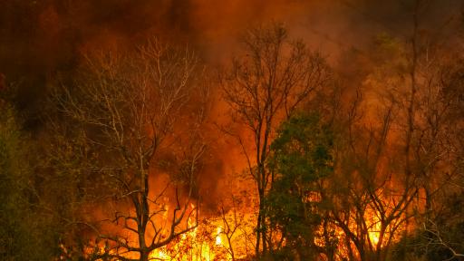  Нов пожар в Хасковско 