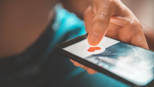  <p>Пуснаха ново <strong>приложение</strong> за <strong>запознанства</strong> за фенове на<strong> котки</strong></p> 