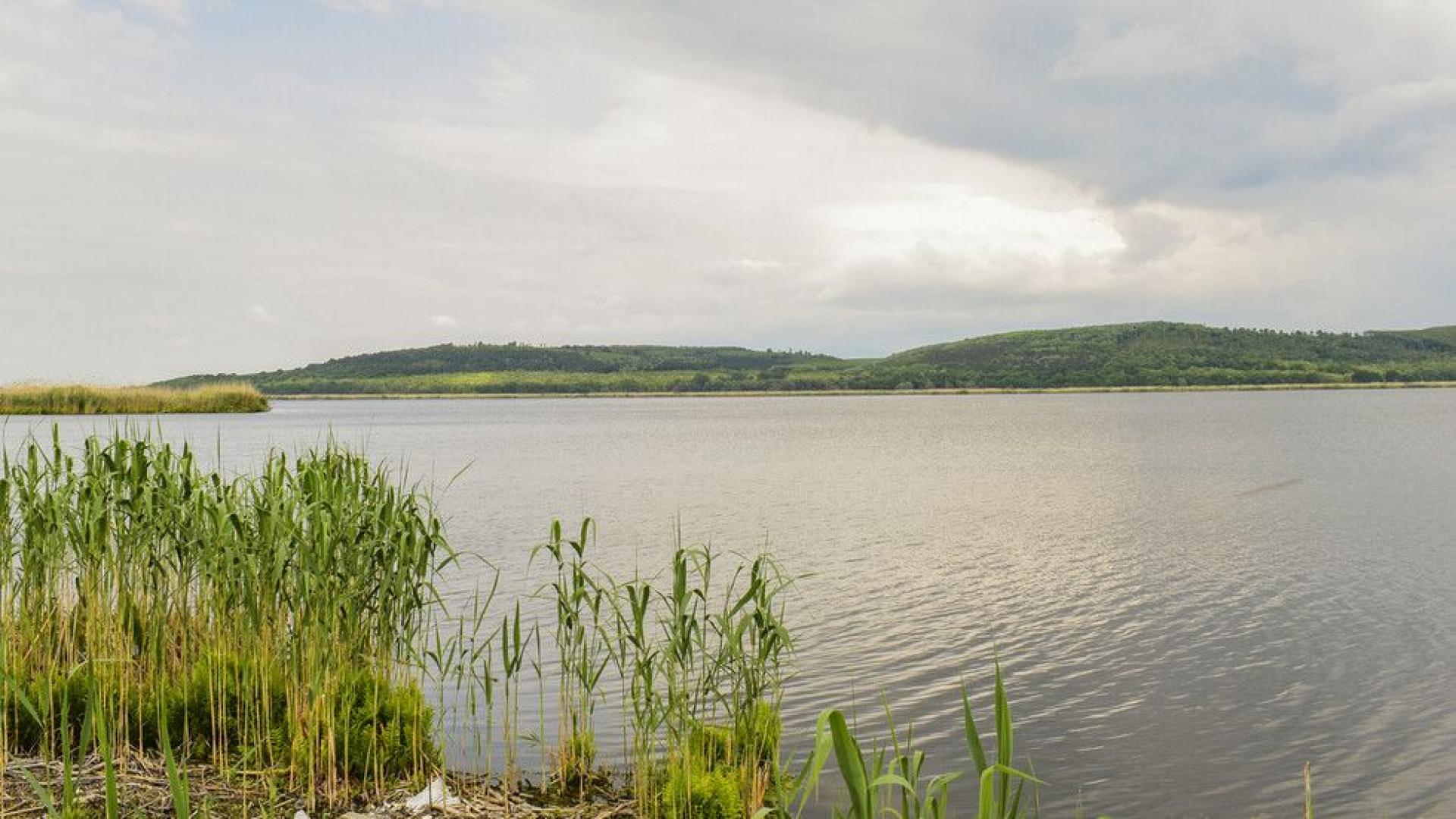 Необичайно ниското ниво на Дунав което е характерно за август